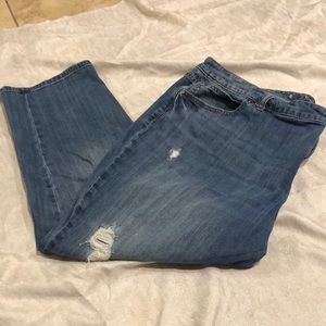 Jennifer Lopez womens plus size distressed jeans
